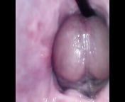 fucking my wife with a camera inside her vagina from camera inside vagina and outside penis during sex position