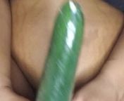 Love my veggies from horny desi girl stuffing veggie in pussy and masturbating hard mms