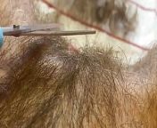 Pussy Hair trimming hairy bush fetish from pussy hair trim