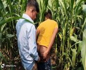 Indian Gay- Today Collage Boy & College Teacher I saw a corn fieldside of the forest, so I enjoyed going to the corn field. from tricky collage gay sex video