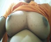 Desi Wife Big Boobs from busty desi wife big boobs