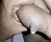 Tamil Aunty Milk Drinking Video 4k from tamil aunty milking indian videos page free nadia nice hot sex diva