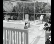 The Layout (1969) Full Movie from layout