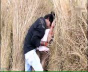 Hot Indian Album Song Shooting Gone Sexual Softcore Part 5 from tamil album vidio songs