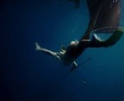 Shailene Woodley - ''Adrift'' 03 from shailesh lodha
