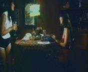 Lisa De Leeuw, Ron Jeremy - Moments Of Love(movie) from ron bielecki