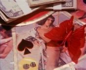 L'amour c'est son Metier (1978, France, Brigitte Lahaie DVD) from sunny lawane