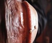 Wet ass cock dripping! Hot Masala cock to slurp, eat a dick before it cums, hot sweaty balls and huge bellend. Hot and s from gay hot masala indian videos