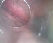 inside hot wet juicy pussy from camera inside penis in vagina