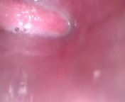 inside hot wet juicy pussy from panis in vagina inside chemera